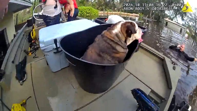 Moment bulldog is rescued from Hurricane Milton floods