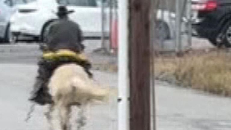 Man flees arrest on the back of a mule