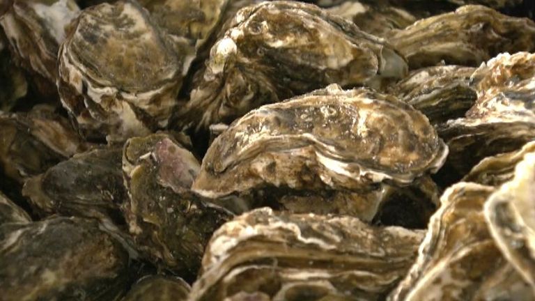 Exports of oysters from China are soaring